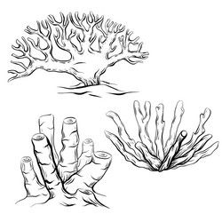 Corals Drawings, Coral Reef Sketch, Coral Sketch, Coral Doodle, Coral Illustration, Coral Drawing, Underwater Drawing, Ocean Plants, Doodle Vector