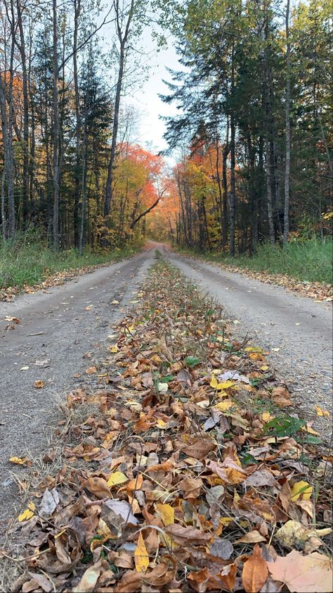 Minnesota Fall, Fall Hiking, 2023 Vision, Fall 2023, Pinterest Board, Minnesota, Vision Board, Most Beautiful, Country Roads