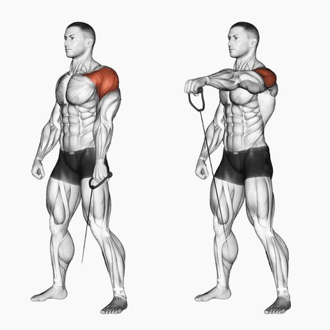 Front Shoulder Exercises, Cable Front Raises, Cable Shoulder Exercises, Rear Delt Exercises, Bigger Shoulders, Deltoid Workout, Body Type Quiz, Shoulders Workout, Shoulder Exercises