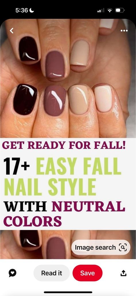 Easy Fall Nail Designs, Fall Toe Nails, Fall Pedicure, Dip Nail Colors, Neutral Nail Color, Pedicure Colors, Toe Nail Color, Fall Manicure, Fall Gel Nails