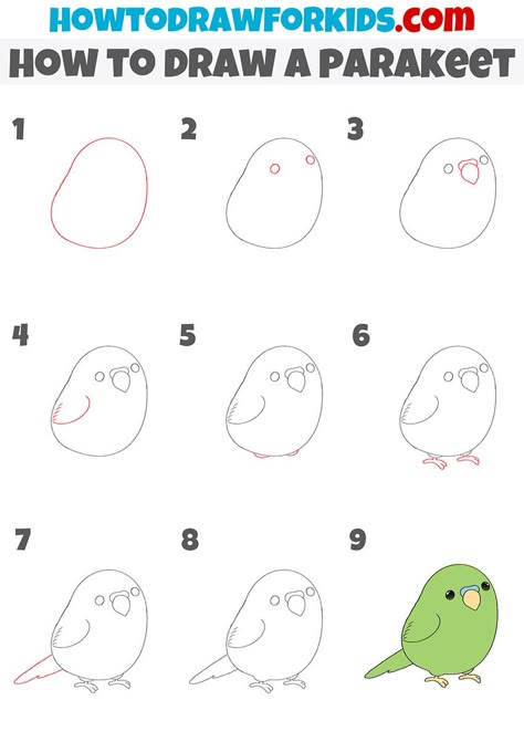 Animal Doodles Step By Step, Parakeet Drawing, Parrot Drawing, Draw For Kids, Harry Potter Art Drawings, Whimsical Art Paintings, Drawing Lessons For Kids, Boho Art Drawings, Easy Cartoon Drawings