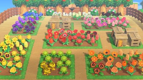 One Of Every Flower Garden Acnh, Hybrid Flower Garden Acnh, Animal Crossing Flower Gardens, Acnh Villager Garden Ideas, Acnh Community Ideas, Beginner Acnh Ideas, Flower Ideas Acnh, Community Garden Animal Crossing, Acnh Hybrid Garden