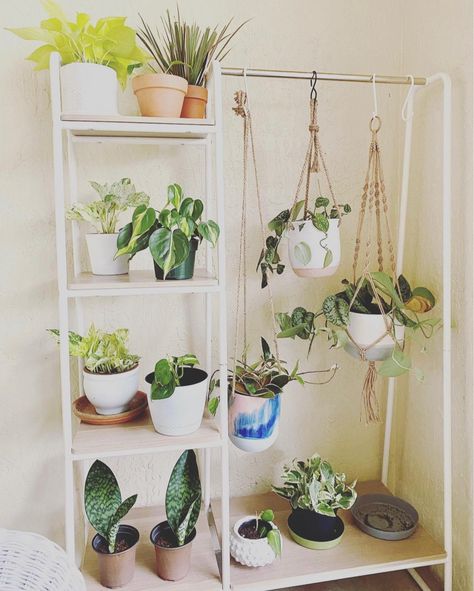 Plants On Clothes Rack, Clothing Rack For Plants, Renter Friendly Hanging, Interior Design Flat, Usa Clothes, Office Corner, Closet Rack, Apartment Plants, Diy Plant Hanger