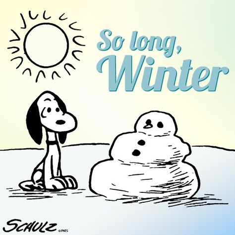 Bye winter Charlie Brown Movie, Peanuts Movie, Photographs And Memories, Peanuts Comic Strip, Snoopy Love, Facebook Image, Good Morning Gif, Charlie Brown And Snoopy, Peanuts Gang