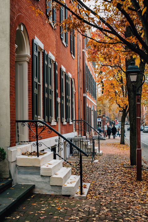 Autumn color and row houses in Society Hill, Philadelphia, Pennsylvania Episode Interactive Backgrounds, Row Houses, Hotel Motel, White Car, Posters Framed, Row House, Philadelphia Pennsylvania, Urban Living, Concrete Jungle