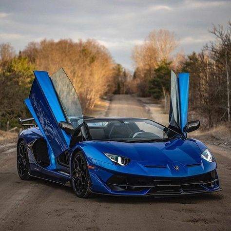 Cars India, Dream Cars Lamborghini, Aventador Lamborghini, Sports Cars Lamborghini, Aventador Svj, New Luxury Cars, Sports Car Wallpaper, Super Fast Cars, Gold Wing