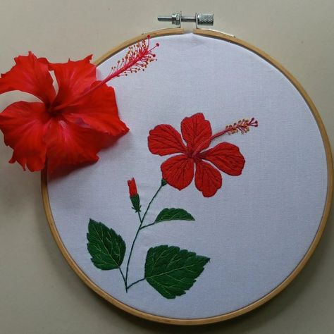 রক্তজবা 🌺🌺❤️❤️ Beautiful Hibiscus flower 🌺 #embroidery #embroideryart #flowerembroidery #floraldesign #hibiscus #embroiderytherapy❤ #embroideryartwork #handembroidered #handcfrafted #handembroidery #needlepainting #needlework #stitch #stitchtherapy #aestheticembroidery #🌺 #floralart #needleart #textileart #hibiscus🌺 Hibiscus Flower Embroidery, Hibiscus Embroidery, Wallpaper Boho, Phone Wallpaper Boho, Fondant Animals, Flower Embroidery Designs, Hibiscus Flower, Needle Art, Flower Embroidery