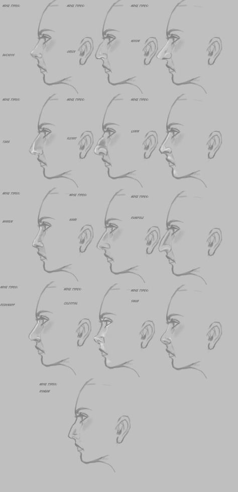 Types Of Noses Side Profile, Types Of Side Profiles, Nose References, Drawing Noses, Drawing Nose, Nose Types, View Drawing, Nose Drawing, 얼굴 그리기