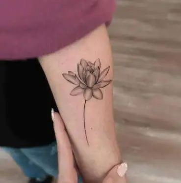 64 Water Lily Tattoo Design Ideas & Deep Meaning - Tattoo Twist Waterlily Tattoo Design, Water Lily Tattoo Design, Waterlilly Tattoo, Waterlily Tattoos, Lily Meaning, Lily Tattoo Meaning, Water Lily Tattoo, Water Lily Tattoos, Lilac Tattoo