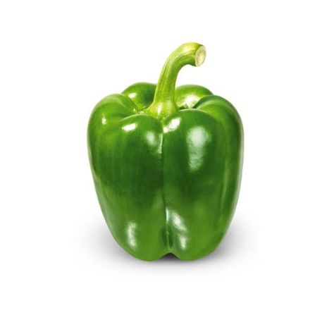 what is capsicum Green Capsicum, India Live, Buy Plants Online, Buy Seeds, Plant Delivery, Green Ocean, Seed Germination, Vegetable Seeds, Buy Plants