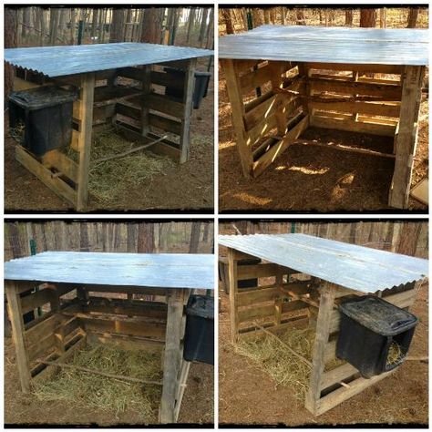 Diy Pallet Chicken Coop, Pallet Chicken Coop, Chicken Shelter, Pollo Tropical, Chicken Coop Plans Free, Cheap Chicken Coops, Chicken Coop Pallets, Easy Chicken Coop, Duck Coop