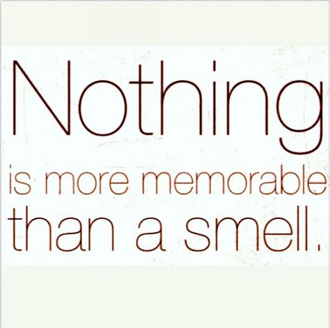 Scent quote "Nothing is more memorable than a smell" Cologne Quotes, Smell Quotes, Fragrance Quote, Perfume Quotes, Fragrance Lab, Lotion Candles, Candle Quotes, Spoken Words, Perfume Lover