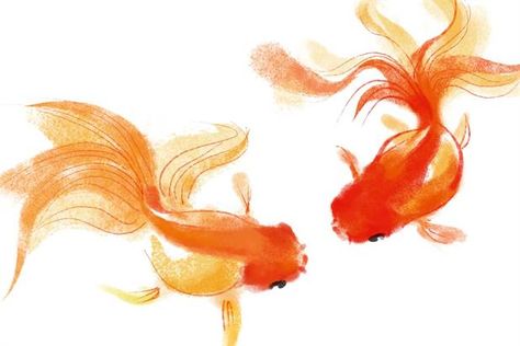 Goldfish Watercolor, Goldfish Tattoo, Goldfish Art, Golden Fish, Carpe Koi, Watercolor Fish, Chinese Brush Painting, Fish Drawings, Tattoo Set