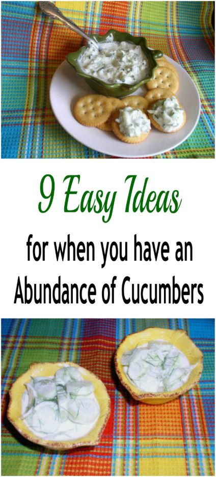 9 Easy Ideas for When You Have an Abundance of Cucumbers - Simple ideas to use up excess cucumbers. Recipes include Creamy Cucumber Salad and Quick & Easy Refrigerator Pickles. #cucumbers What To Do With An Abundance Of Cucumbers, Shredded Cucumber Recipes, What To Do With Extra Large Cucumbers, Cucumber Powder Uses, Using Up Cucumbers, How To Use Cucumbers, Large Cucumber Recipes, English Cucumber Recipes Healthy, What To Do With Cucumbers Recipes