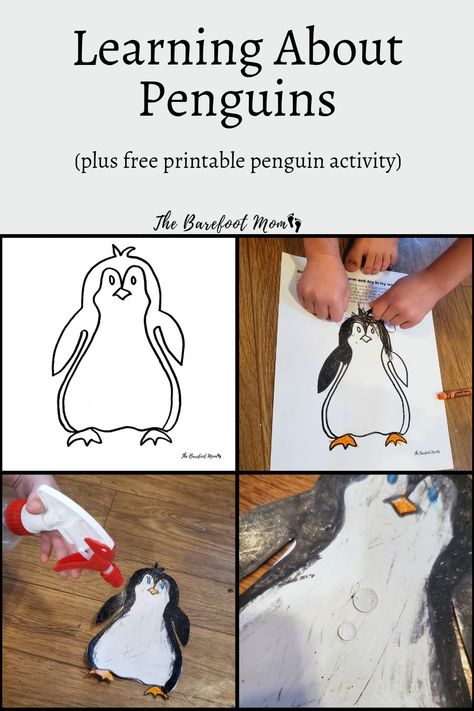 Activities and resources for learning all about penguins with your kids or students. Includes a free printable coloring activity that demonstrates how penguins stay warm and dry in cold Antarctic waters. Penguin Experiments For Kids, How Do Penguins Stay Dry Experiment, Penguin Science Experiment, Penguins Preschool Activities, Penguin Activities For Kids, Penguin Experiment, Penguin Activities For Preschool, Preschool Penguin Activities, Environmental Crafts