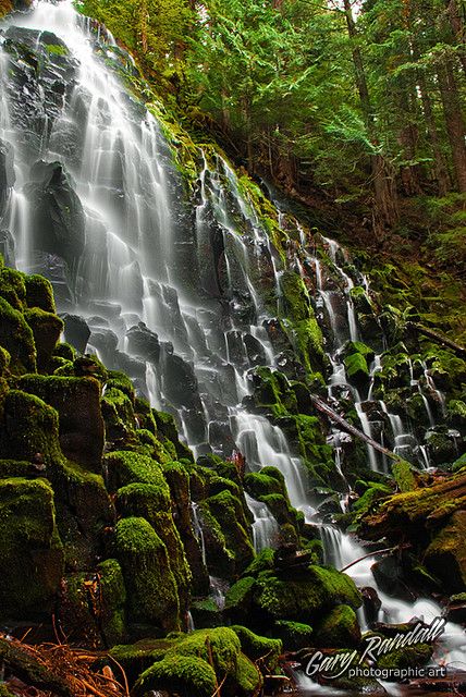 Ramona Falls near Mt. Hood by Gary Randall, via Flickr Ramona Falls, Rare Places, Mount Hood Oregon, Lovely Landscapes, Seattle Trip, Waterfall Pictures, Oregon Waterfalls, Southwest Usa, Falling Water