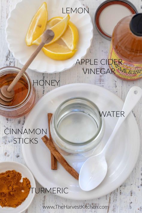 Cranberry Detox Drink, Apple Cider Vinegar Drink Recipes, Cider Vinegar Drink, Cranberry Detox, Make Apple Cider Vinegar, Vinegar Drink, Lemon Juice Water, Apple Cider Vinegar Detox Drink, Vinegar Drinks