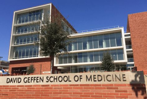 Ucla School Of Medicine, Ucla University, Ucla Campus, David Geffen, College Vision Board, Us Universities, Medical Degree, California Los Angeles, School Management