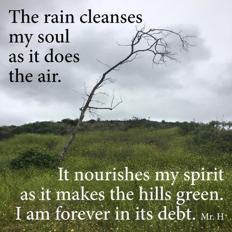 The Rain Cleanses My Soul Rain Cleanse, Rain Sticks, Cleanse Me, Winter Soldier, The Rain, Wise Words, Words Of Wisdom, Encouragement, Quotes