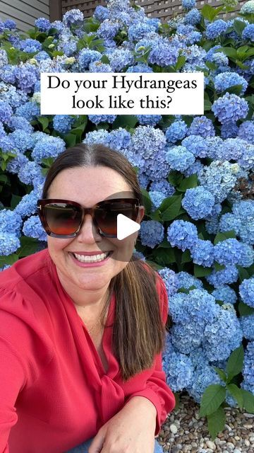 Carmen Johnston Gardens on Instagram: "So many questions about hydrangeas!!! Comment “link” for THE ULTIMATE HYDRANGEA GUIDE 💙" Hydrengas Garden Ideas, How To Plant Hydrangea In Ground, Backyard Landscaping Hydrangea, Hydrangea Companion Plants Front Yards, Hydrangea Companion Plants, Hydrangea Garden Aesthetic, Eurythmics Sweet Dreams, So Many Questions, Sweet Dreams