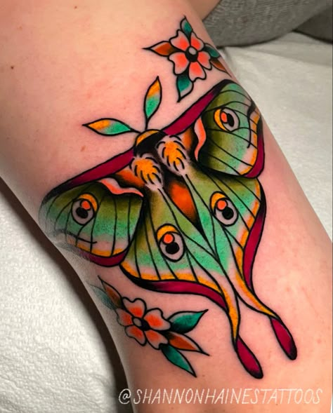 Luna Moth American Traditional Tattoo, Luna Moth American Traditional, American Trad Moth Tattoo, American Traditional Luna Moth Tattoo, Traditional Luna Moth Tattoo, Moth American Traditional Tattoo, Neo Traditional Moth Tattoo, American Traditional Moth, Moth Reference