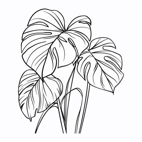 Monstera Line Drawing, Monstera Plant Wallpaper, Monstera Leaf Drawing, Minimal Sketch, Big Leaf Plants, White Monstera, Plant Prints, Tropical Illustration, Line Art Illustration