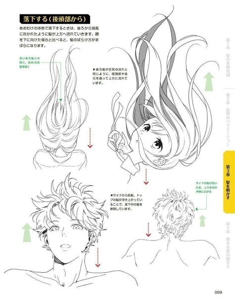 Anime Back Of Head Reference, Hair Angles Reference, Back Of Head Reference Hair, Anime Head Reference Angles, Hair Angles Drawing, Back Of Head Drawing Hair, Flowing Hair Reference, Hair Angles, Head Reference Angles