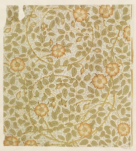 Briar Rose | Crane, Walter | V&A Explore The Collections Craftsman Interiors, Walter Crane, Wallpaper Stencil, Victorian Wallpaper, Briar Rose, Arts Crafts Style, National Art, Rose Wallpaper, Arts And Crafts Movement