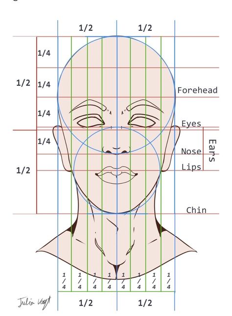 Realistic Face Proportions, Eye Proportions Drawing, How To Draw Face Anatomy, Facial Proportions Drawing Tutorials, Face Proportions Reference, Face Porpotion Reference, Face Ratio Drawing, Portrait Guidelines, Facial Proportions Drawing