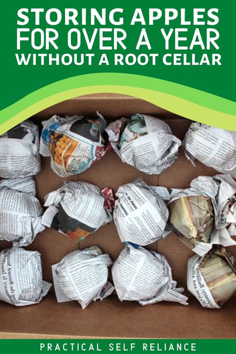 Keep apples fresh for over a year without a root cellar. Easily and safely store apples for long term food storage or for winter by following this easy guide. How To Store Apples Long Term, How To Store Apples For Winter, Diy Cold Storage Root Cellar, Long Term Potato Storage, Storing Apples For Winter, Apple Storage Ideas, Long Term Food Storage Ideas, Saving Apples, How To Preserve Apples