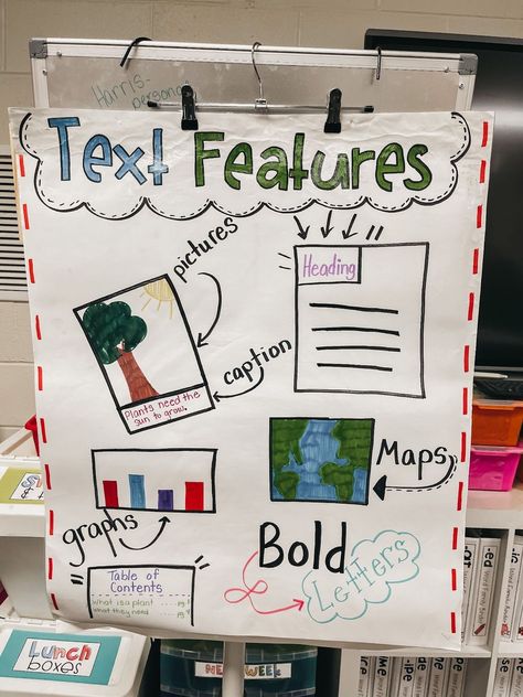 Text Features Anchor Chart - 1st grade writing anchor charts for writers workshop. Anchor charts to help teach writing to your students. Text Features Anchor Chart, Writers Workshop Anchor Charts, Writing Process Anchor Chart, Text Feature Anchor Chart, Classroom Must Haves, Kindergarten Anchor Charts, Third Grade Writing, 1st Grade Writing, Writing Anchor Charts