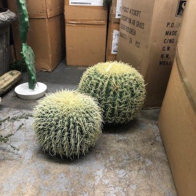 Artificial Cactus/Succulents | Product categories | Faux Cactus Plants, Fake Cactus Plants Decor, Artificial Cactus Plants, Round Cactus, Golden Rat Tail Cactus, Artificial Cactus, Golden Barrel Cactus, Faux Cactus, Barrel Cactus