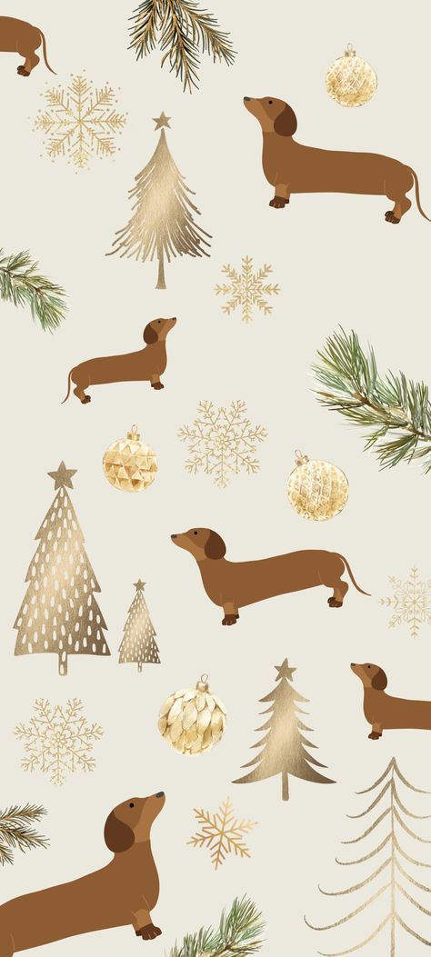 Christmas Weenie Dog Wallpaper, Dog Phone Wallpaper Aesthetic, Aesthetic Wallpaper Xmas, Daschund Christmas Wallpaper, Cute Dachshund Wallpaper, Christmas Dog Wallpaper Iphone, Aesthetic Holiday Wallpaper Iphone, Christmas Dachshund Wallpaper, Dachshund Phone Wallpaper