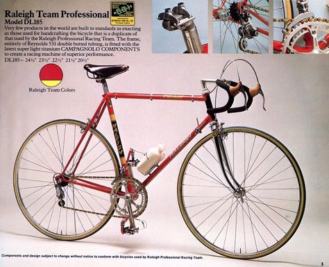 02-76-team-professional Raleigh Bicycle, Raleigh Bikes, Road Bicycle Racing, Classic Road Bike, Road Bike Vintage, Velo Vintage, Steel Bike, Bike Poster, Vintage Cycles