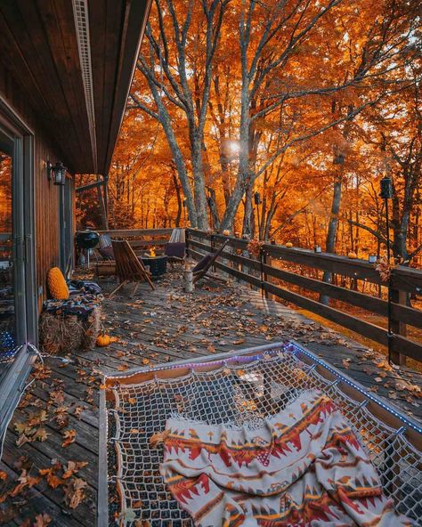 The Saltbox Lodge | Catskills в Instagram: «Daydream Believer 🎆 . . . 📸 @cfunk44» Windham Ny, Catskills Ny, Daydream Believer, Catskill Mountains, Cabin Style, Cabin In The Woods, Fall Scents, Cabin Life, Best Seasons