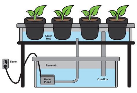 Ebb And Flow Hydroponics, Indoor Hydroponics System, Hydroponic Vegetables, Hydroponics Gardening, Indoor Hydroponics, Indoor Vegetables, Film Technique, Aquaponic Gardening, Floating Garden