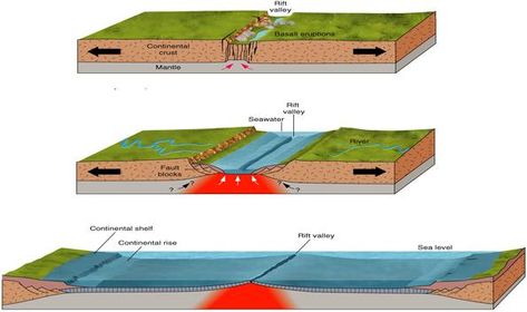 Divergent Boundary, High School Earth Science, Seafloor Spreading, Plate Tectonic Theory, Plate Boundaries, Continental Shelf, Physical Geography, Plate Tectonics, Science Fair Projects