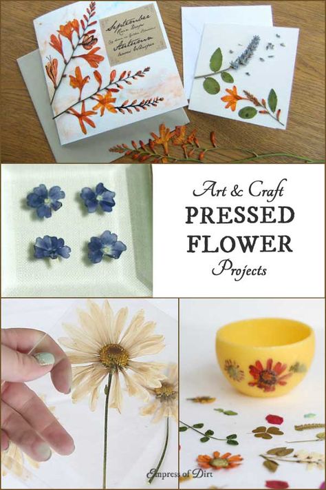 How to make pressed flowers and leaves instantly and 25 creative project ideas. Flower Art Ideas, Dried Flower Crafts, Dried Flowers Crafts, Pressed Flowers Diy, Pressing Flowers, Drying Flowers, Cuadros Diy, Flower Pressing, Flower Projects