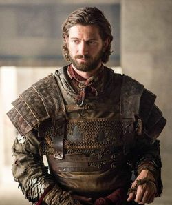 DAARIO NAHARIS Daario Naharis, Michael Huisman, Jamie Lannister, Jack Gleeson, Game Of Thrones Instagram, Michiel Huisman, Game Of Thrones Costumes, Matthew Lewis, Game Of Thrones Tv