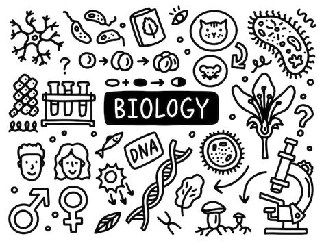 Biology doodle line set school universit... | Premium Vector #Freepik #vector #doodle #doodle-sketch #cartoon-doodle #cartoon-line Biology Doodle Art, Cute Biology Doodles, Biology Drawing Ideas, Science Mural, Biology Doodles, Biology Drawing, Cover Page For Project, Project Cover, Science Drawing