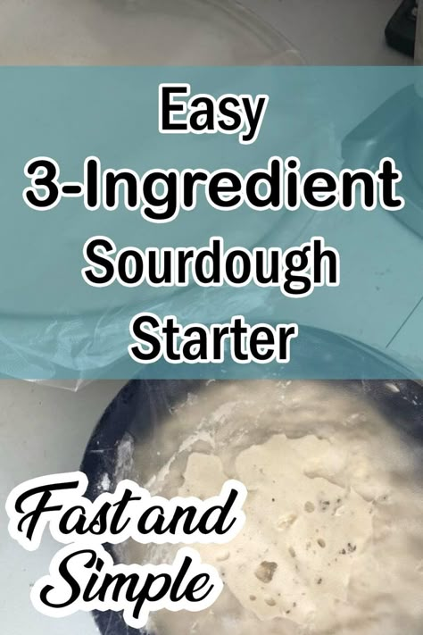 Easy Sourdough Starter Recipe – A Cake To Remember Recipe For Sourdough Starter, Sourdough Starter Recipe With Yeast, No Discard Sourdough Starter Recipe, Easy Sour Dough Starters, Easy Sourdough Starter Recipe, Making Sourdough Starter, Sour Dough Starter Recipe How To Make, Sourdough Bread Without Starter, Sourdough Discard Recipes Bread