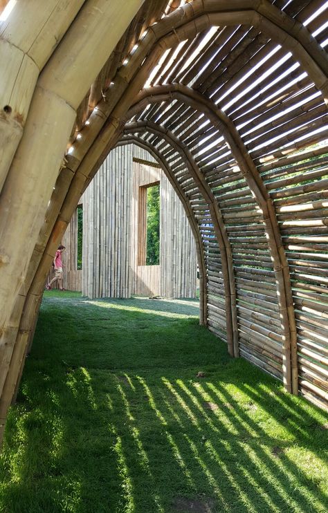 Bamboo Tunnel, Garden Equipment, Fruit Garden, Roof Garden, Shop Interior, Garden Arch, Beautiful Nature, Roof, Dream House