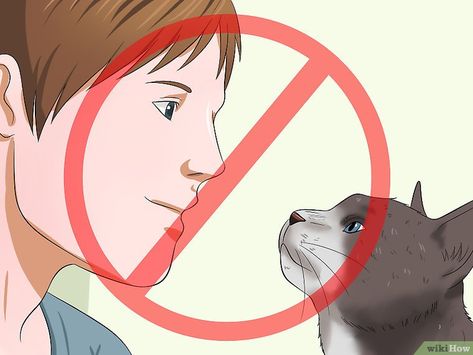 How to Make Your Cat Love You (with Pictures) - wikiHow How To Tell Your Cat You Love Them, How To Make A Cat Like You, How To Make Your Cat Love You, How To Makw, Cat Body, What Cat, Boy Cat, Really Cute Dogs, Kitten Love