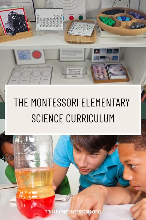 Maria Montessori’s innovative approach to teaching Elementary Science emphasizes hands-on learning and self-directed exploration. Montessori Method Teaching, Montessori Science Shelf, Montessori Science Experiments, Montessori Science Activities, Allergy Diet, Montessori Approach, Montessori Curriculum, Montessori Science, Elementary Curriculum