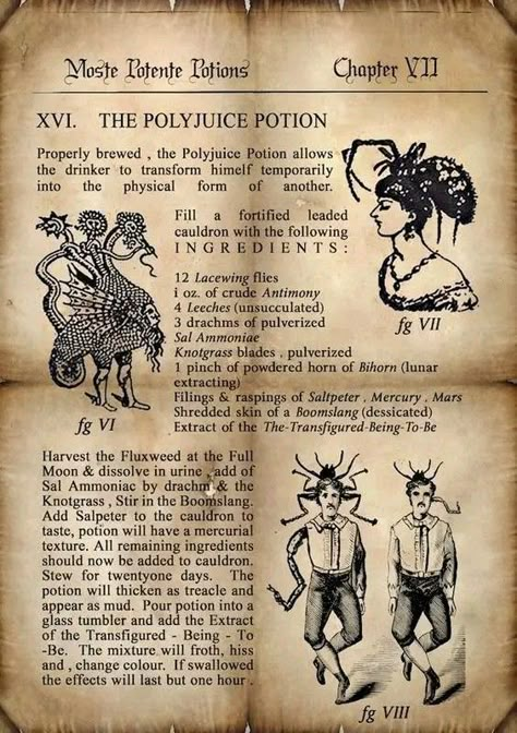 Poster Harry Potter, Harry Potter Journal, Imprimibles Harry Potter, Polyjuice Potion, Harry Potter Printables, Harry Potter Potions, Harry Potter Poster, Template Brochure, Harry Potter Spells