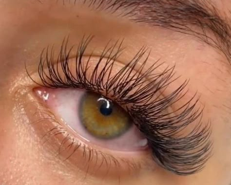 Green Eyes Long Lashes, Healthy Eyelashes, Longer Eyelashes Naturally, Super Long Lashes, Pretty Eyes Color, Manifest 2024, Ideal Face, Arm Training, Thick Eyelashes