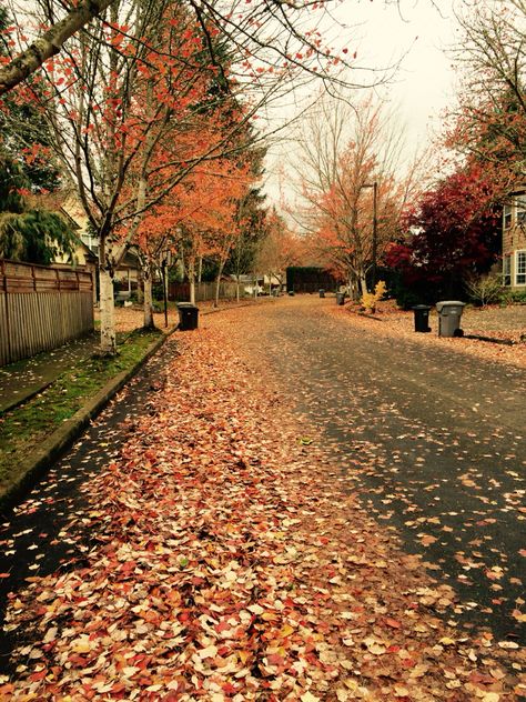 Oregon Neighborhoods, Oregon Suburbs, Portland Oregon City, West Linn Oregon, Oregon Aesthetic, Aesthetic Scenery, Oregon Portland, Oregon City, Movie Ideas