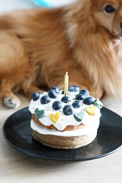 dog birthday cake Dog Meat Cake, Easy Dog Cake, Dog Cake Recipe, Meat Cake, Dog Cake Recipes, Cake Easter, Dog Treats Homemade Recipes, Easter Dog, Dog Cakes