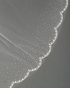 Ivy Wedding, Beaded Bridal Veil, Wedding Veil Styles, Beaded Wedding Veils, Bridal Veils And Headpieces, Beaded Veils, Veil Styles, Bride Veil, Blusher Veil