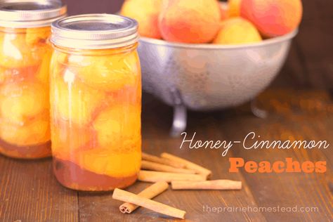 Canning Peaches with Honey and Cinnamon • The Prairie Homestead The Prairie Homestead, Prairie Homestead, Canning Peaches, Canning Fruit, Canned Food Storage, Honey Cinnamon, Canned Fruit, Canned Peaches, Home Canning